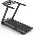   FITEGOSMART Stella s-dostavka -      